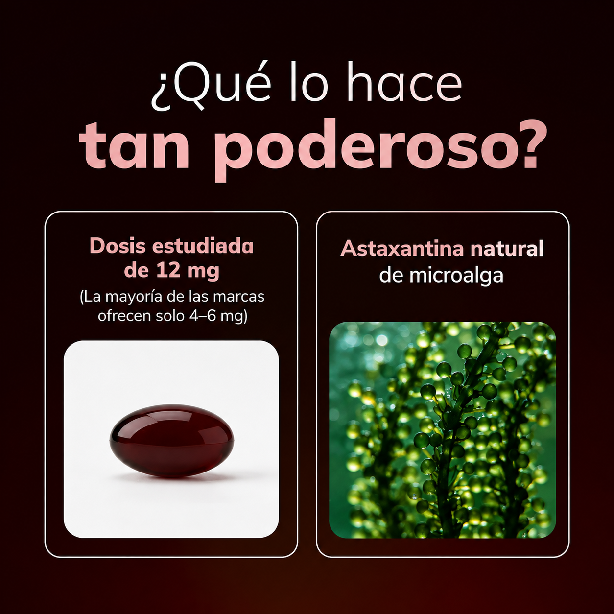 Astaxantina: el antioxidante más poderoso de la naturaleza para el bienestar integral y la protección celular