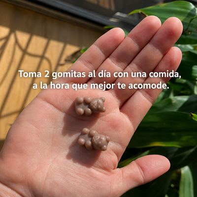 Gomitas Bases de Desarrollo — Nutrición Diaria para los Años que No Vuelven