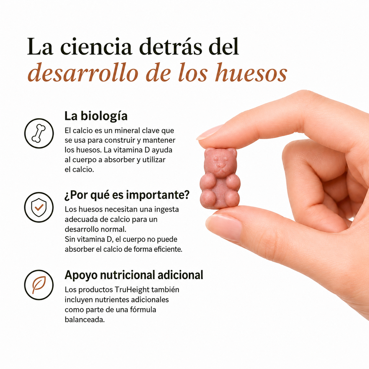 Gomitas Bases de Desarrollo — Nutrición Diaria para los Años que No Vuelven
