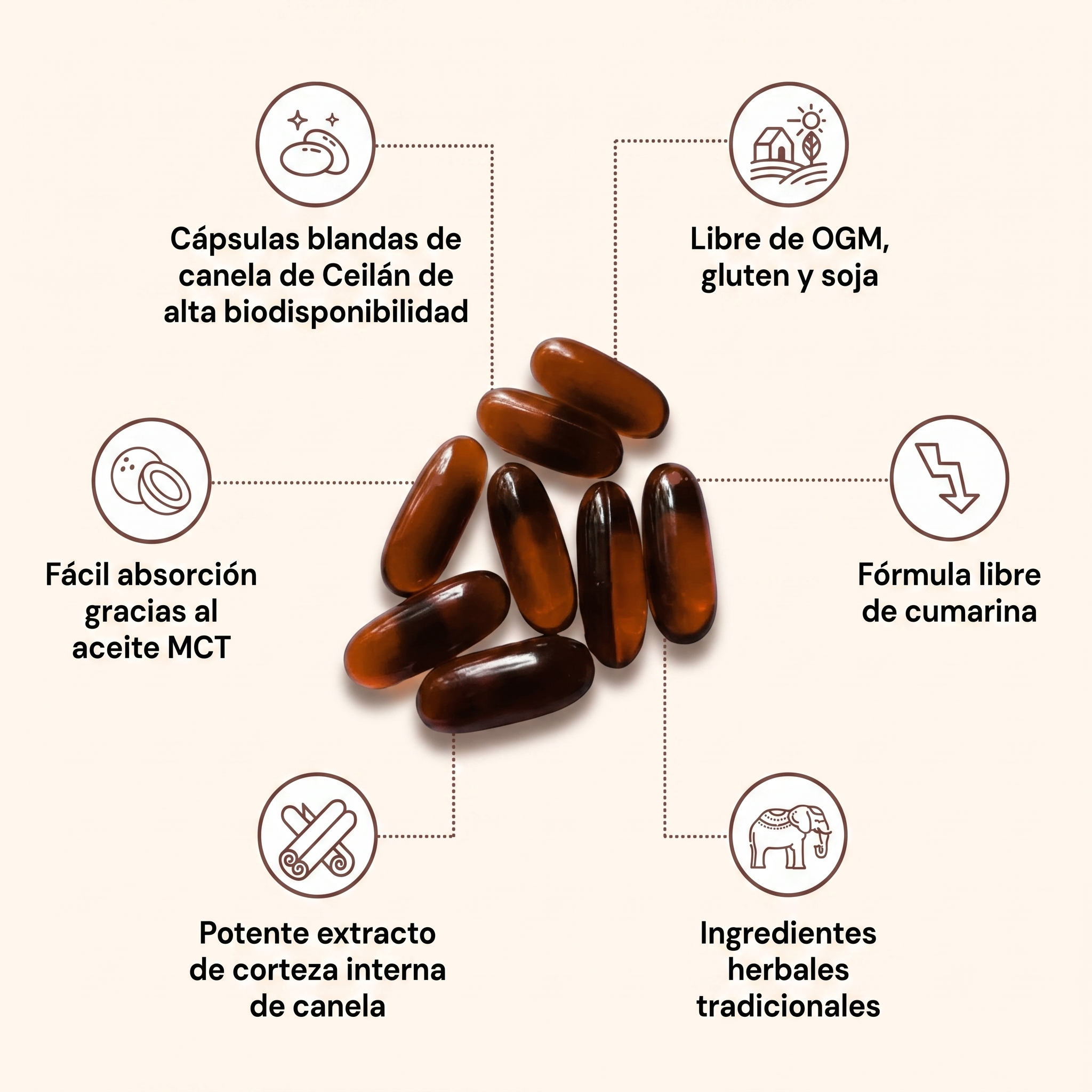 Canela de Ceilán equivalente a 7200 mg con aceite MCT