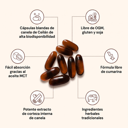 Canela de Ceilán equivalente a 7200 mg con aceite MCT